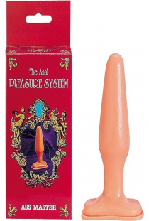 THE ANAL PLEASURE SYSTEM